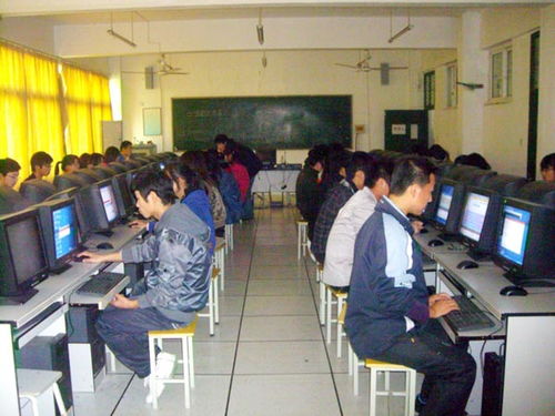信息技术系举办计算机水平等级考试应试培训活动